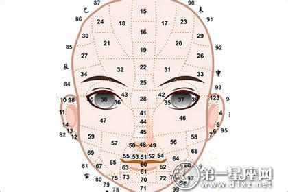 面相行運年齡|【面相年齡】一窺你的面相年齡：用九執流年法、面相學，瞭解你。